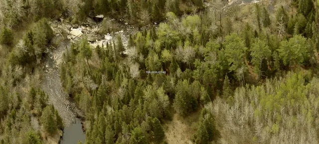 $274,000 | Tbd Willow Tbd Willow River, Orr, MN 55771