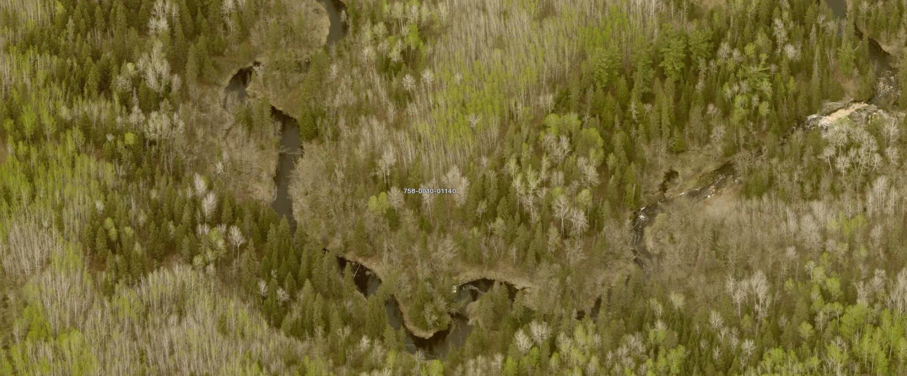 Tbd Willow Tbd Willow River Orr, MN 55771 - Photo 5 of 11