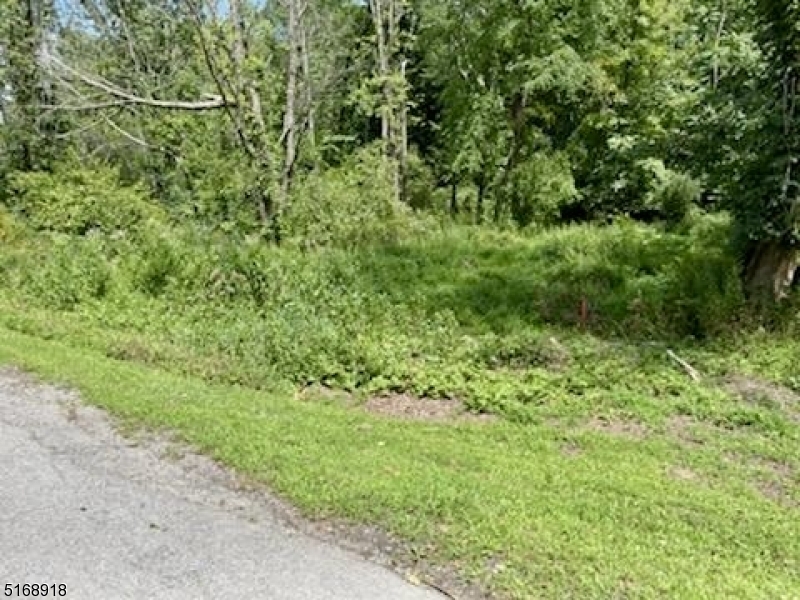 0 Rockport Road Sussex, NJ 07461 - Photo 3 of 3