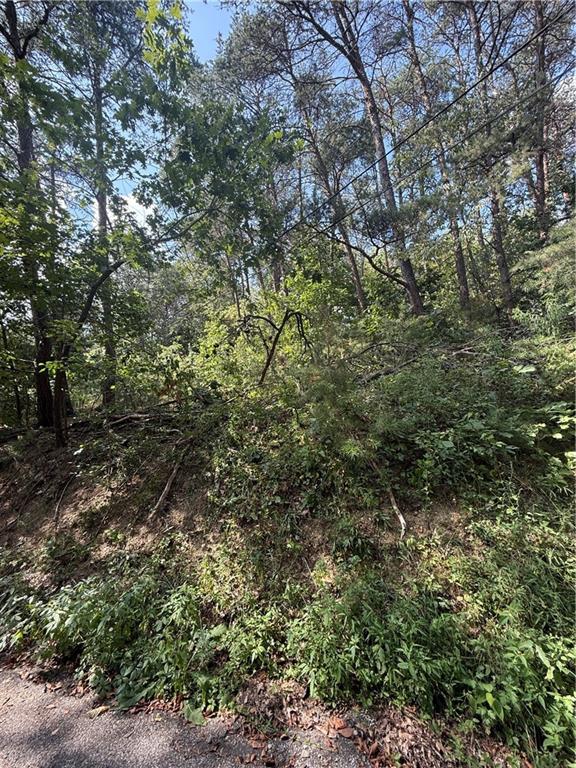 0 Farland Street Aliquippa, PA 15001 - Photo 2 of 8 a view of a forest with a tree
