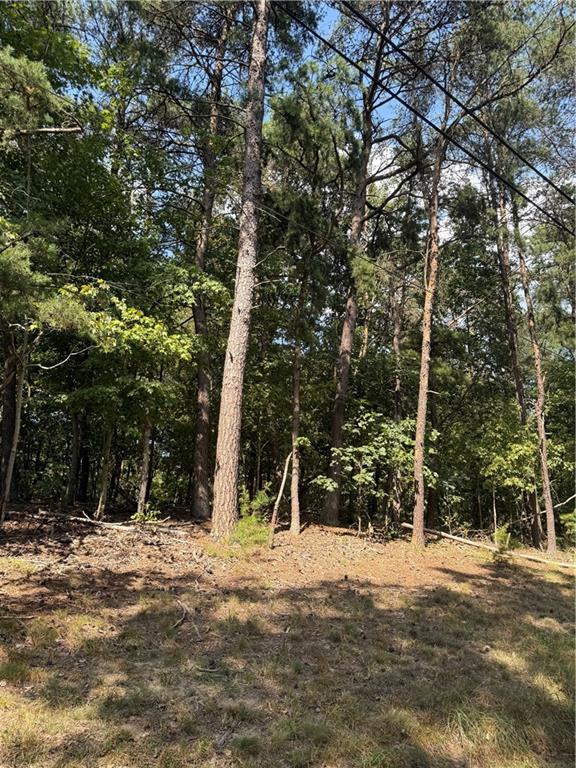 0 Farland Street Aliquippa, PA 15001 - Photo 4 of 8 a view of outdoor space with trees