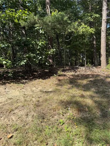 a view of a yard with a tree