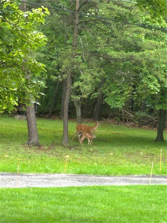 0 Farland Street Aliquippa, PA 15001 - Photo 8 of 8