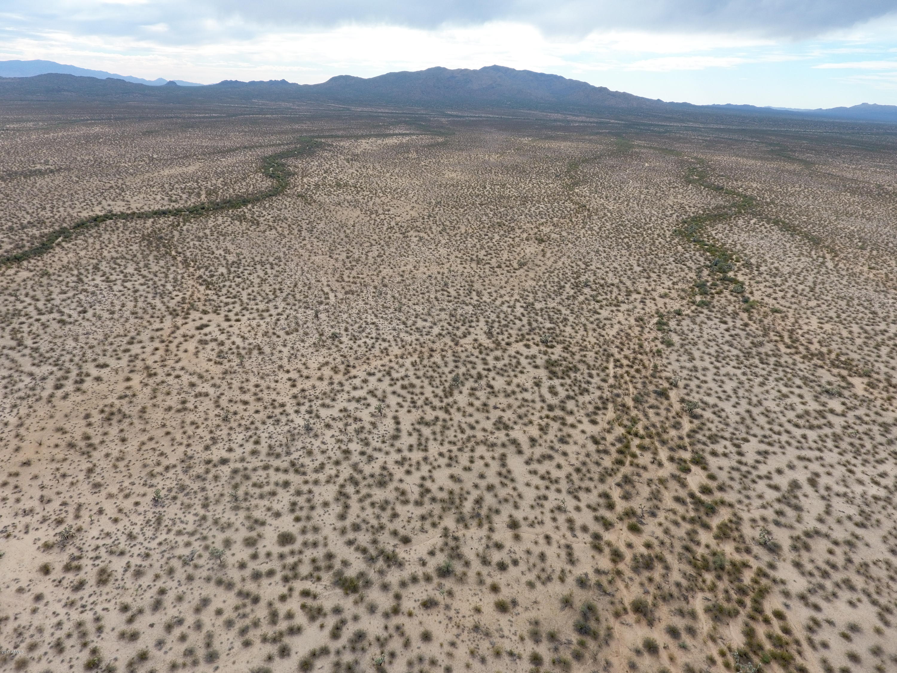 0 Alamo Springs Road Yucca, AZ 86438 - Photo 1 of 12 a view of a dry yard with mountain
