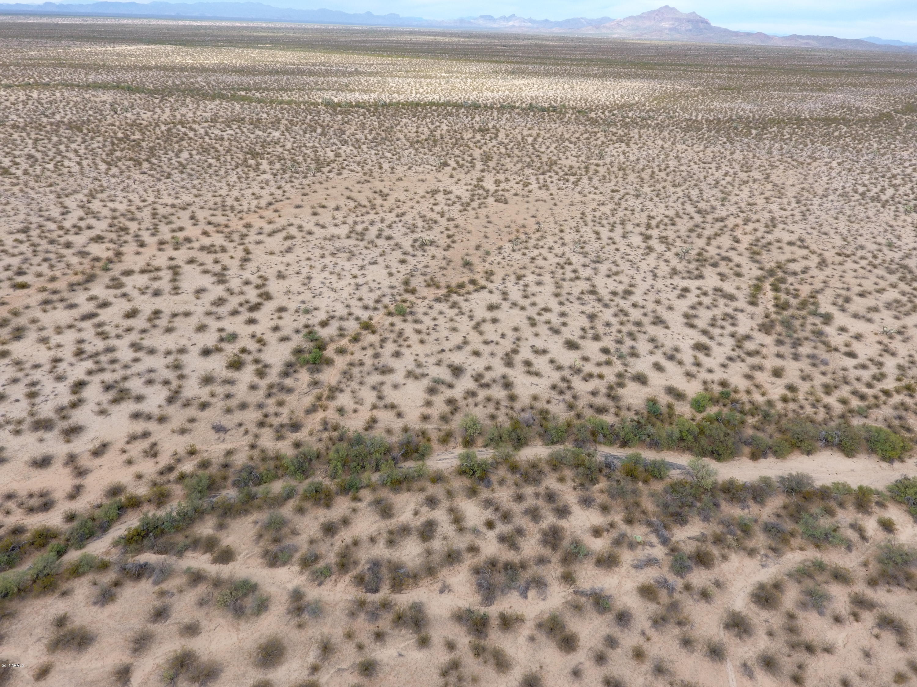 0 Alamo Springs Road Yucca, AZ 86438 - Photo 12 of 12