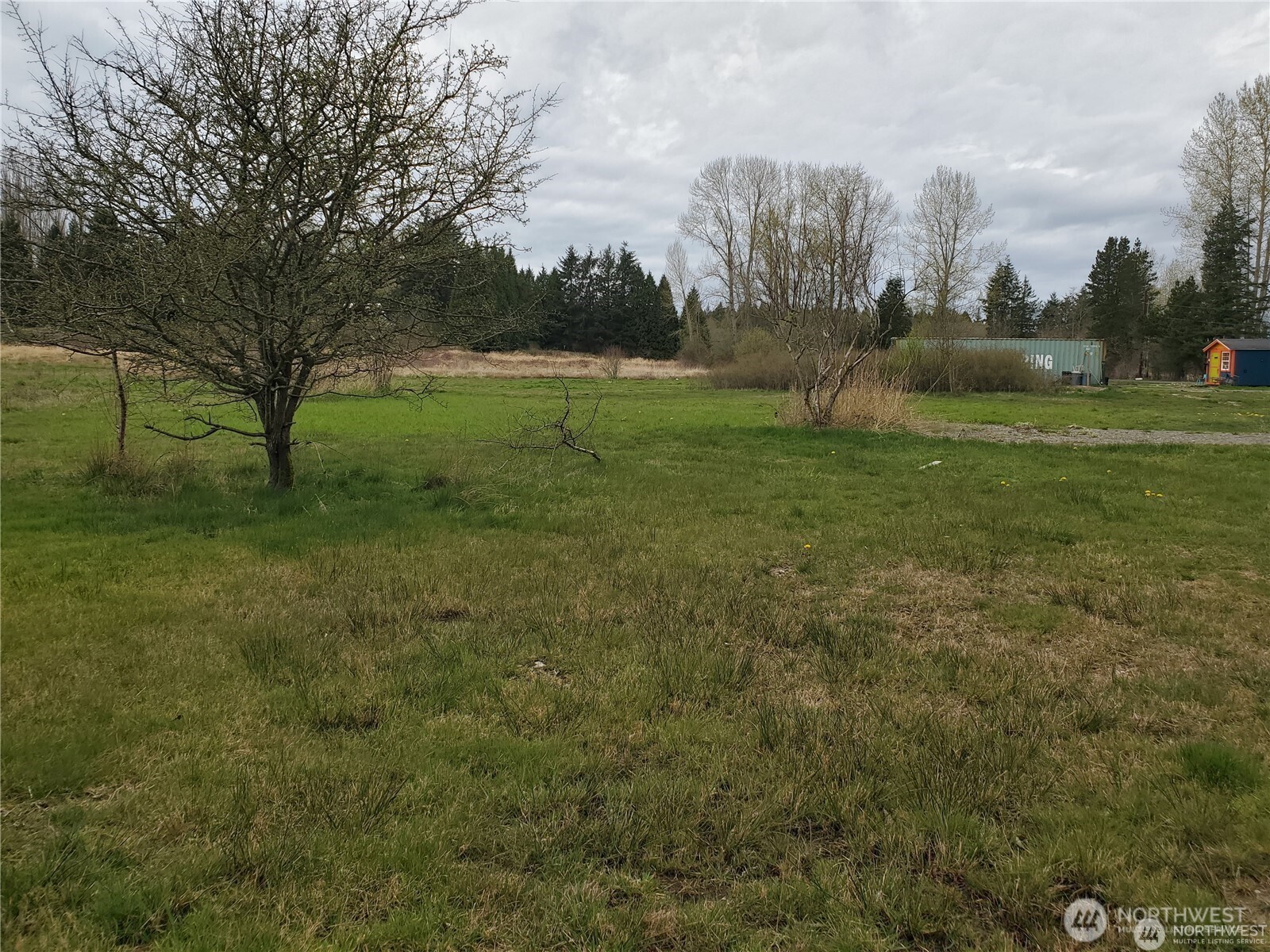 8358 Blaine Road Blaine, WA 98230 - Photo 15 of 17 a view of a field with trees in the background