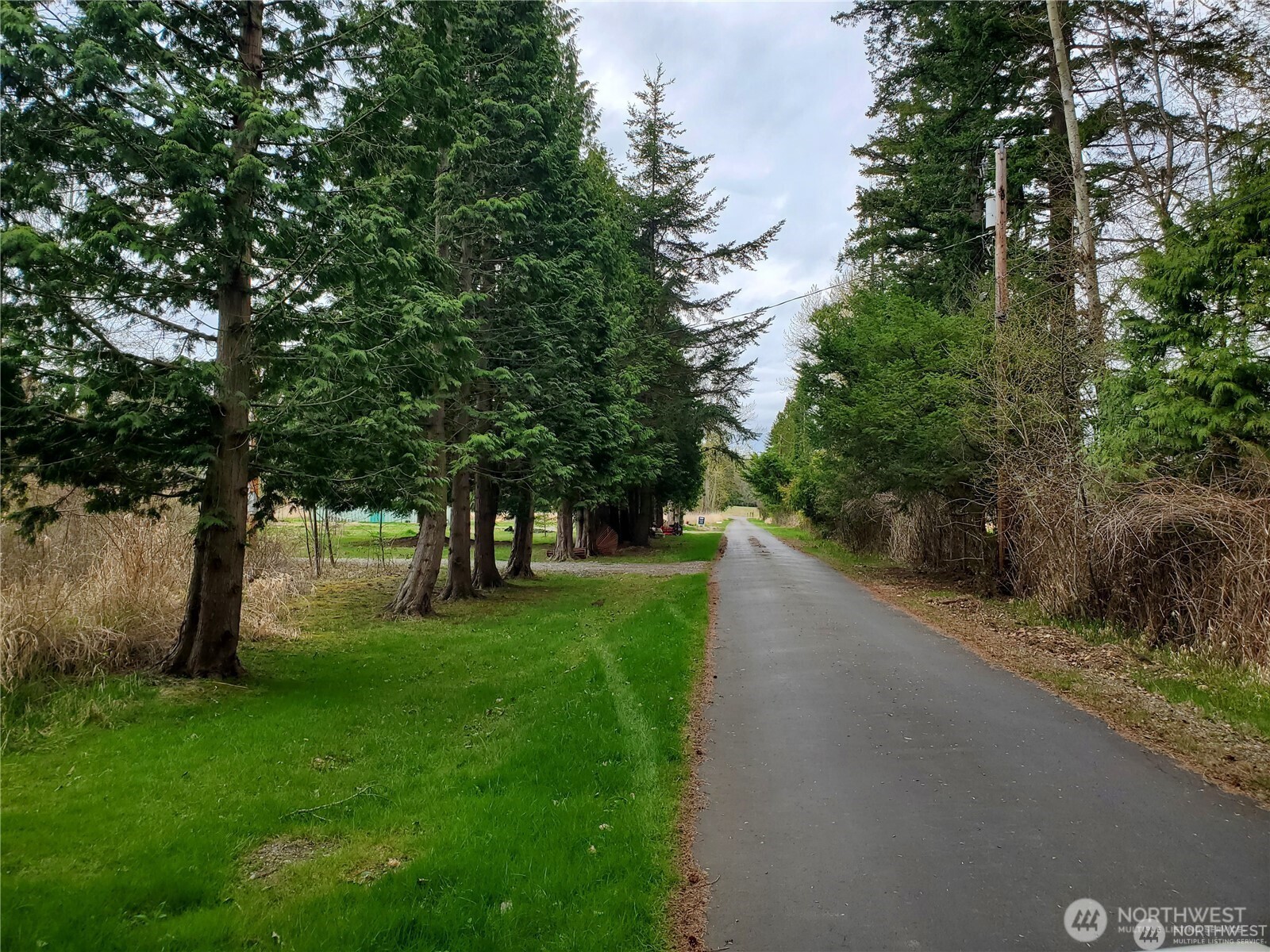 8358 Blaine Road Blaine, WA 98230 - Photo 2 of 17 a view of a street with a tree in the background
