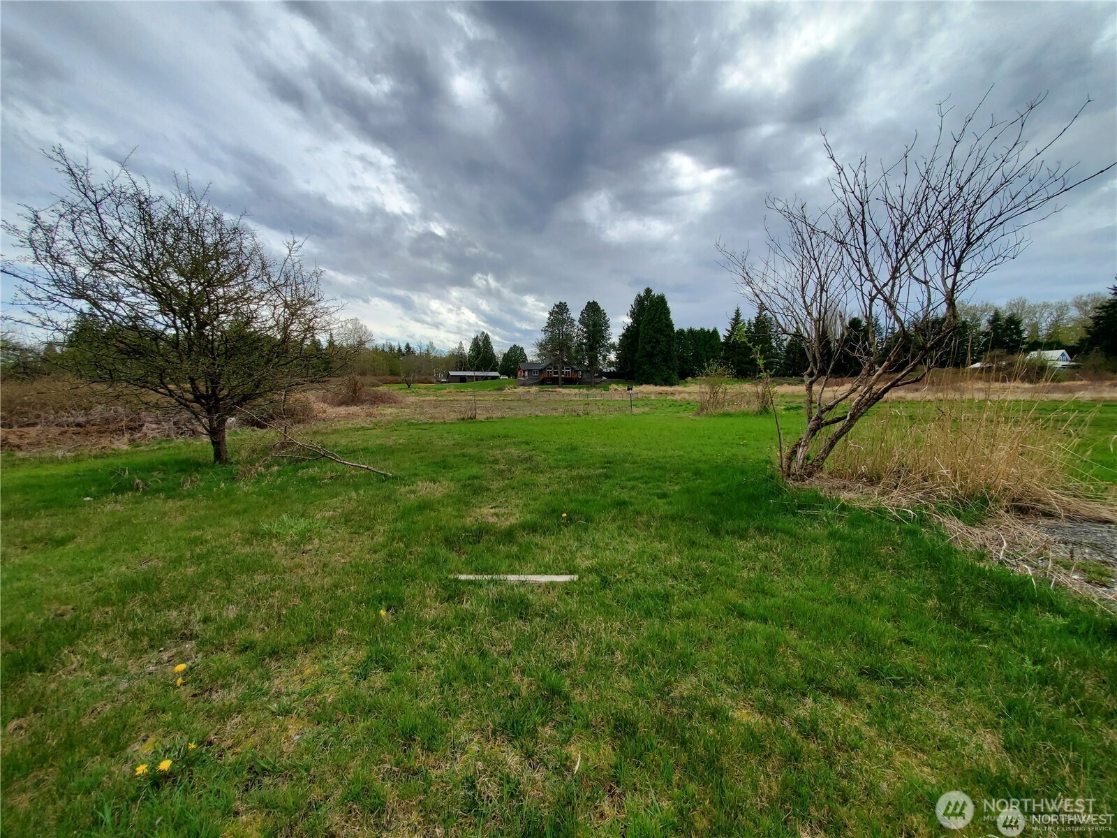 8358 Blaine Road Blaine, WA 98230 - Photo 4 of 17 a view of field with tall trees