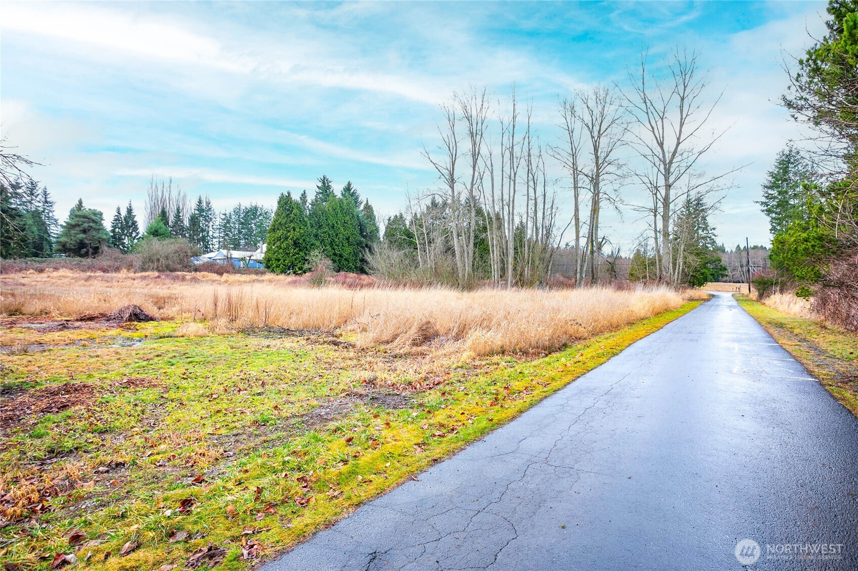 8358 Blaine Road Blaine, WA 98230 - Photo 10 of 17 a view of a yard with large trees