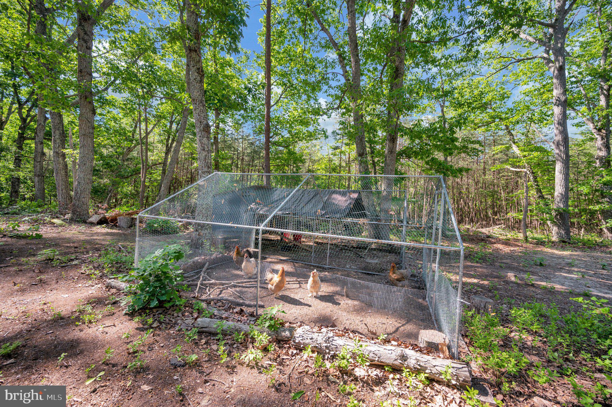 28282 Tatum Road Unionville, VA 22567 - Photo 50 of 52 Charming chicken coop in serene woods.