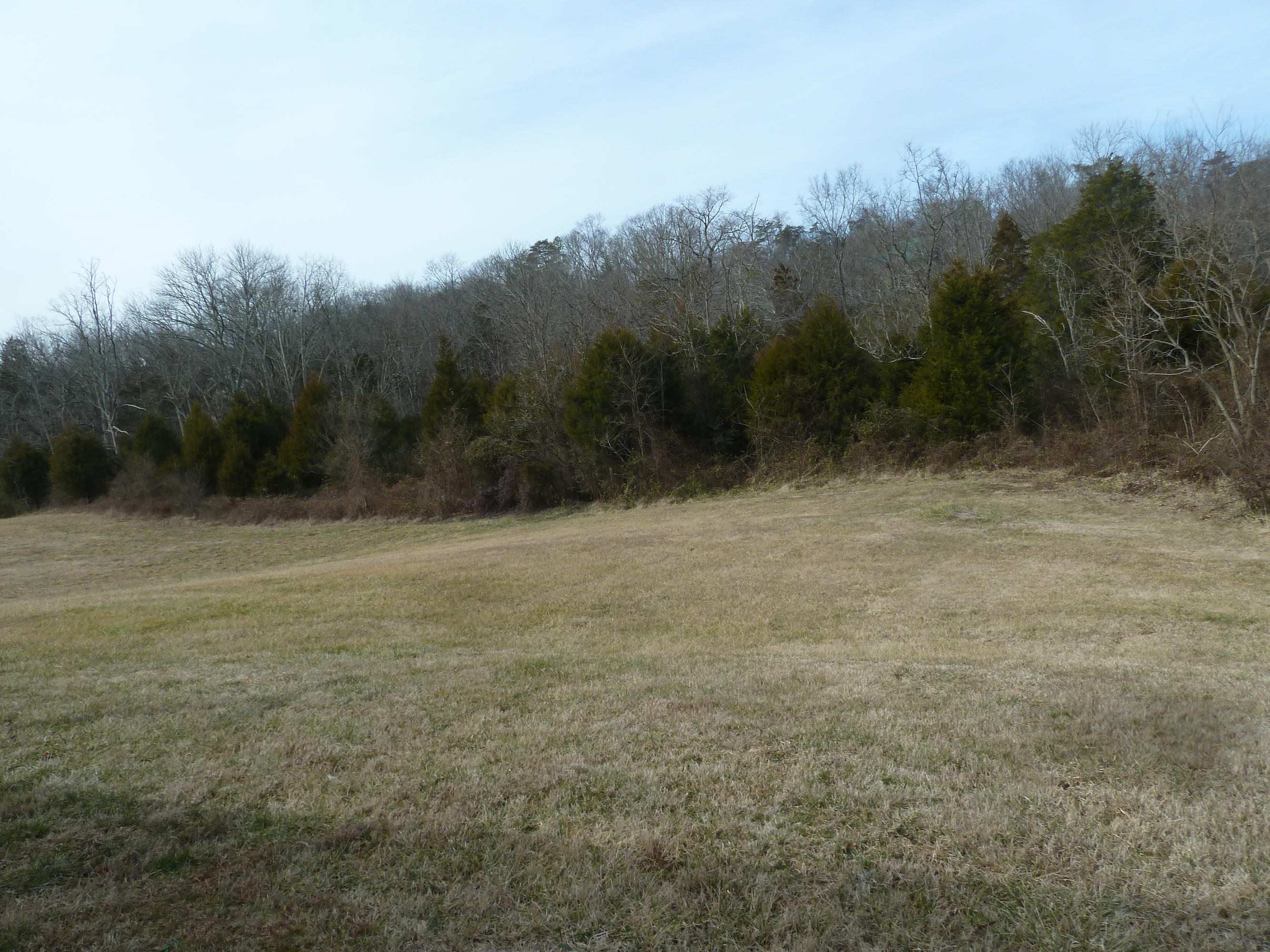 2237 Mansfield Gap Road Talbott, TN 37877 - Photo 15 of 21 P1150878