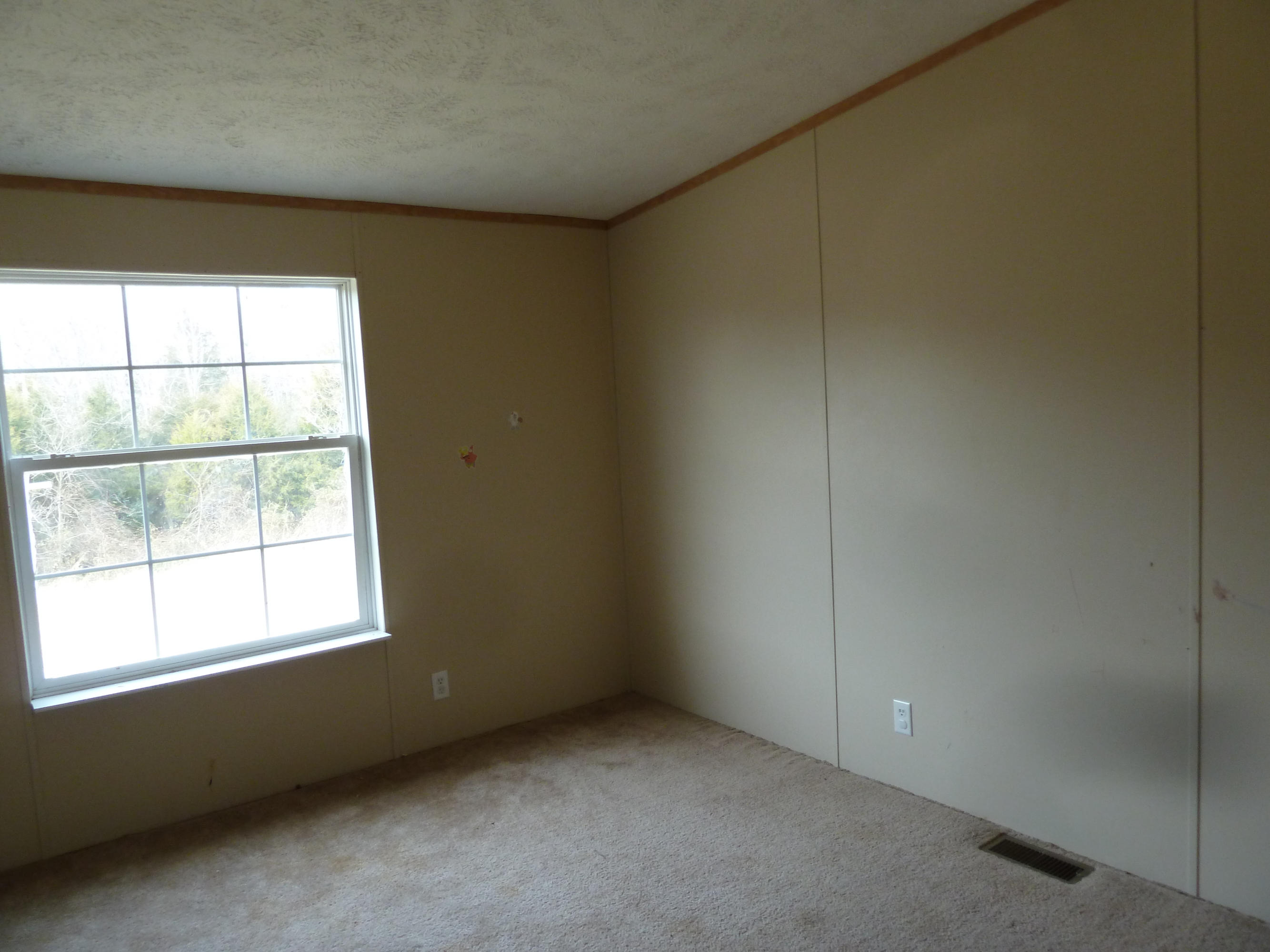 2237 Mansfield Gap Road Talbott, TN 37877 - Photo 17 of 21 P1150901