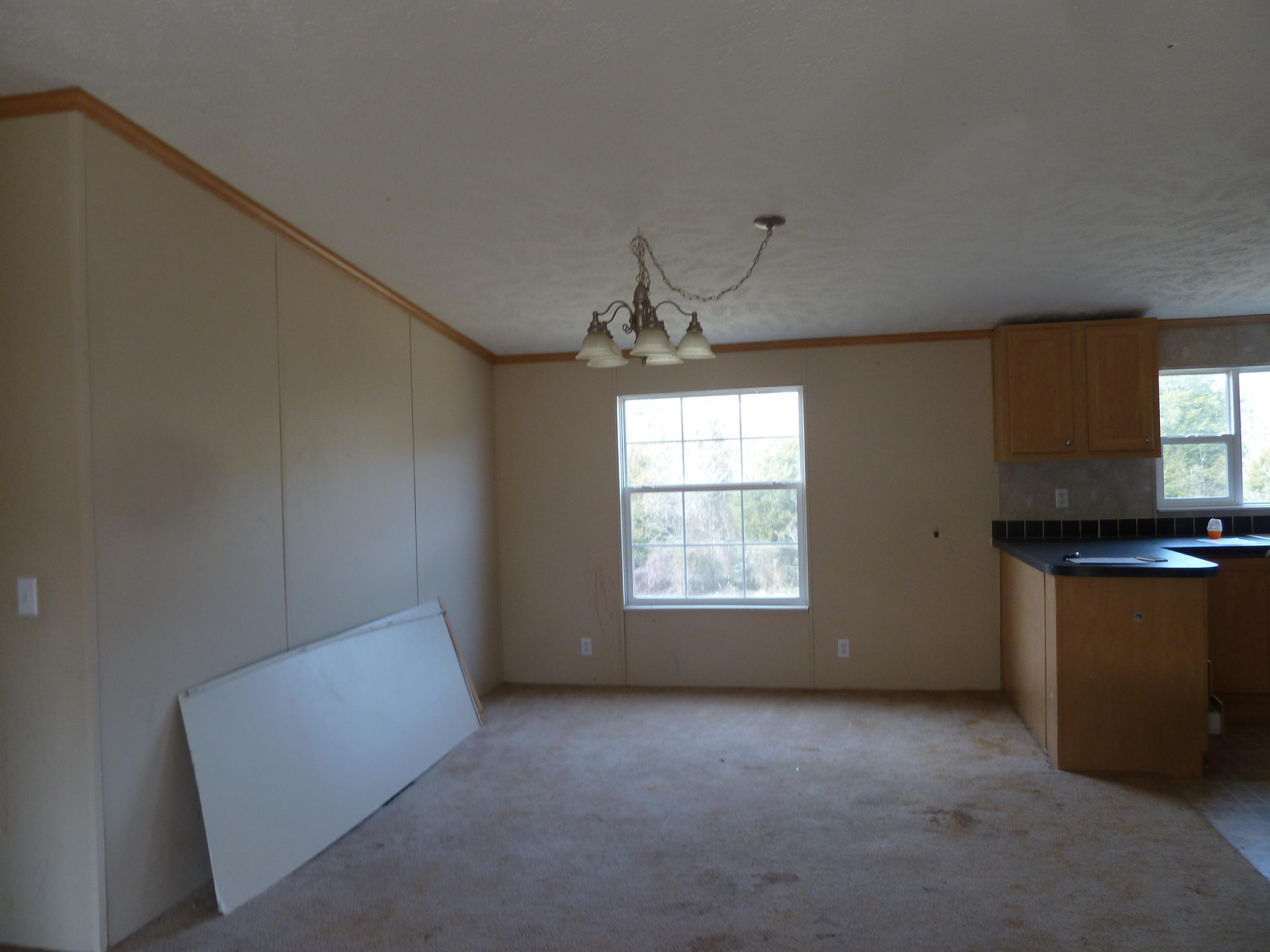 2237 Mansfield Gap Road Talbott, TN 37877 - Photo 3 of 21 P1150839