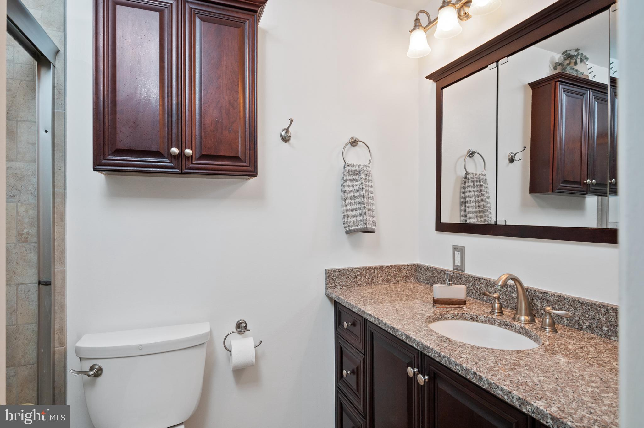 11503 Vale Road Oakton, VA 22124 - Photo 26 of 43 PBR FULL BATH