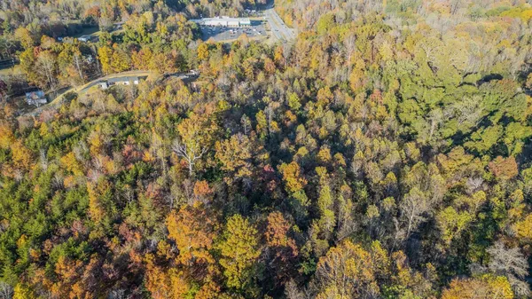 a view of a yard with plants and trees