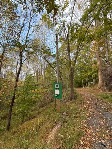 a big yard with lots of trees