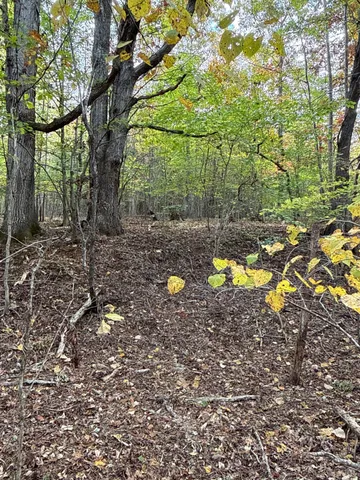 a view of a large yard with lots of green space