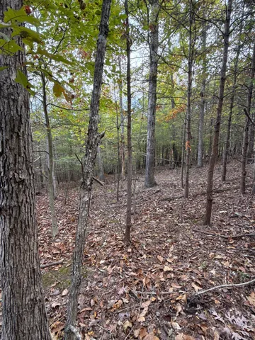 a view of outdoor space with trees