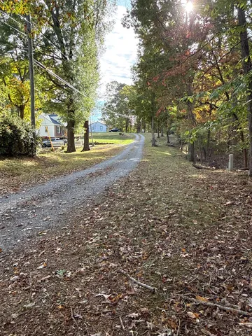 a view of a forest that has large trees