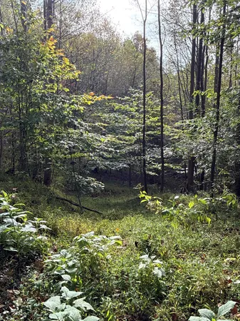 $84,900 | 195 Ramey Hodge Drive, Martinsville, VA 24112