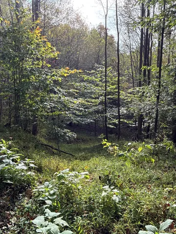 $84,900 | 195 Ramey Hodge Drive, Martinsville, VA 24112