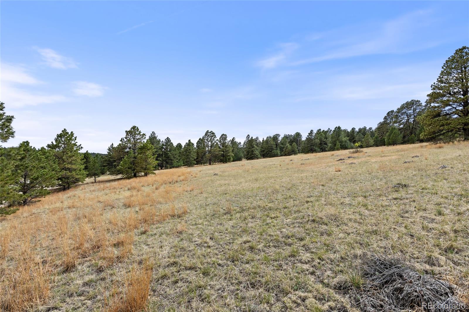 8653 North Teacup Road Elbert, CO 80106 - Photo 5 of 19 Gallery Image 5