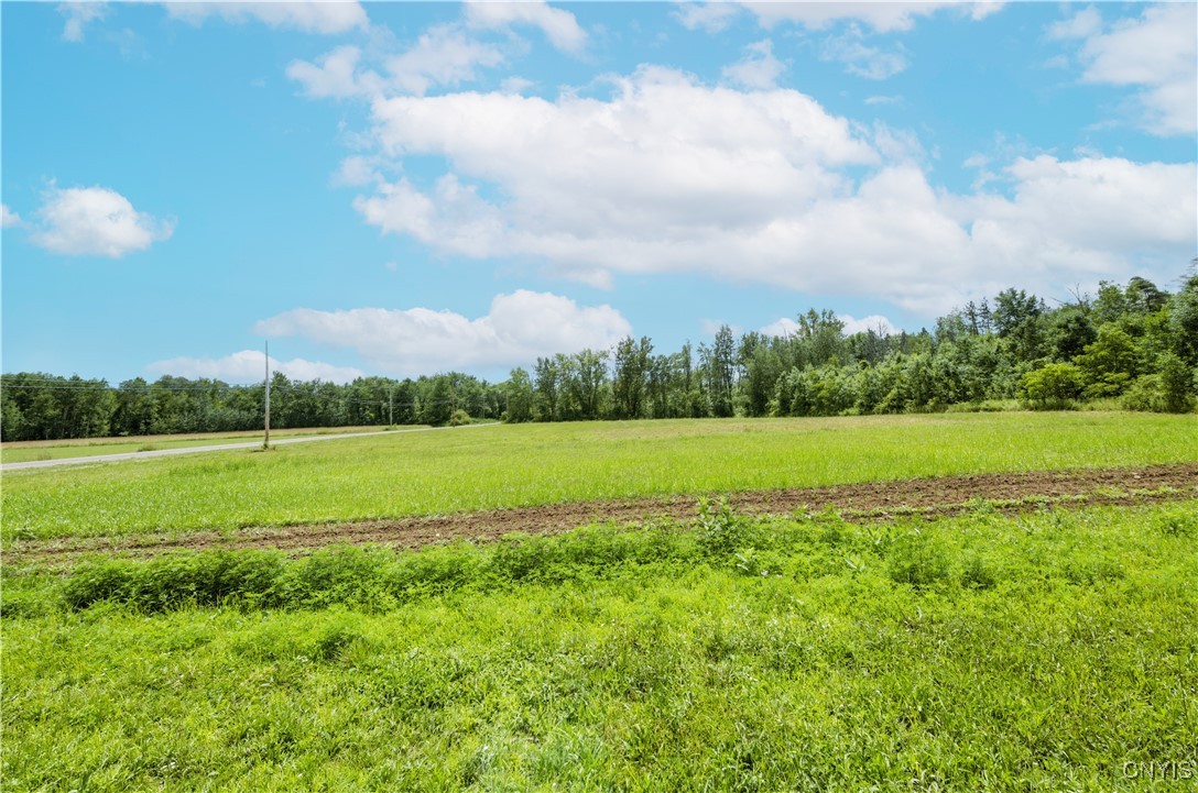 7550 Collamer Road Manlius, NY 13057 - Photo 10 of 10