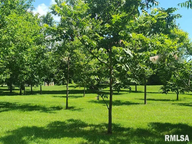 $400,000 | 319 High Street, Mound City, IL 62963