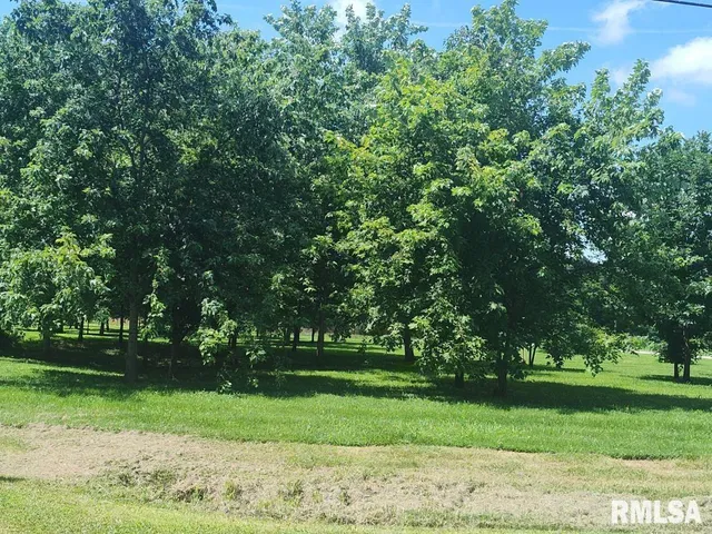 $400,000 | 319 High Street, Mound City, IL 62963