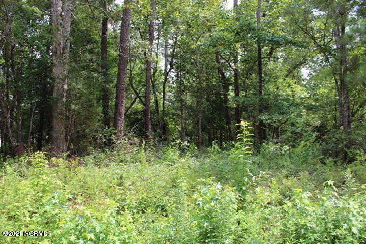 254 White Oak Bluff Road Stella, NC 28582 - Photo 1 of 5 1