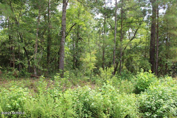 254 White Oak Bluff Road Stella, NC 28582 - Photo 2 of 5 2