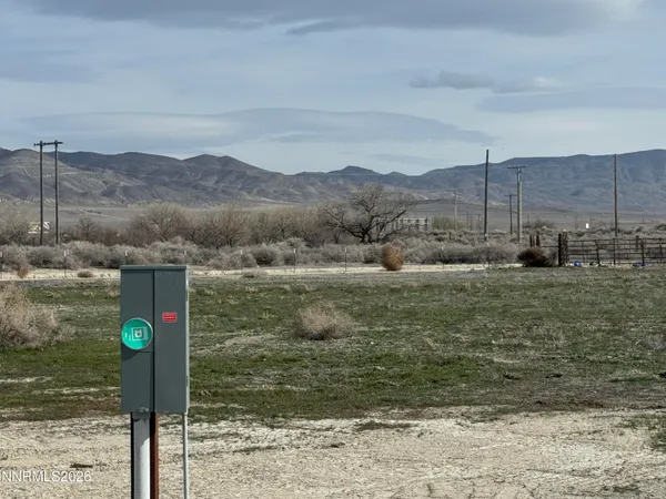 a street view with large trees