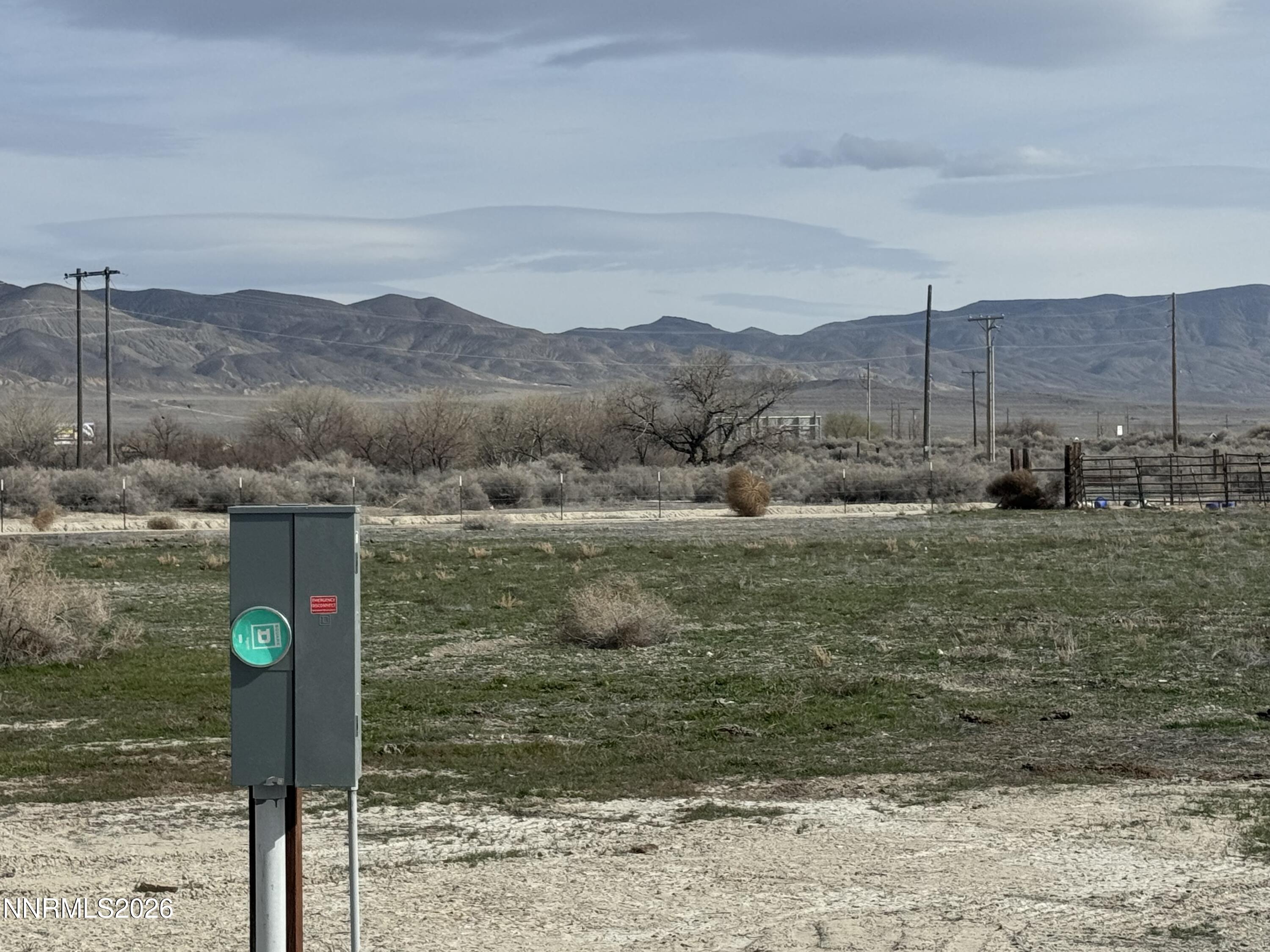 88 River Banks Court Lovelock, NV 89419 - Photo 3 of 8 a street view with large trees
