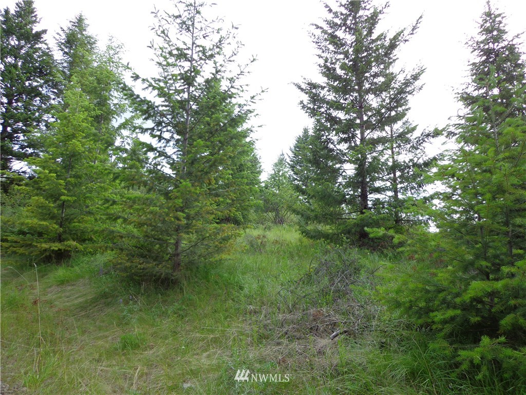 -tbd Tbd Switchback Road Malo, WA 99150 - Photo 1 of 8 Gallery Image 1