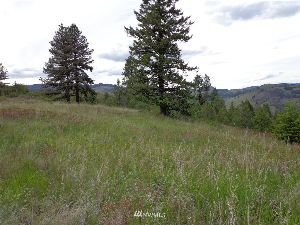 -tbd Tbd Switchback Road Malo, WA 99150 - Photo 3 of 8 Gallery Image 3