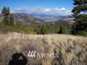 -tbd Tbd Switchback Road Malo, WA 99150 - Photo 4 of 8 Gallery Image 4