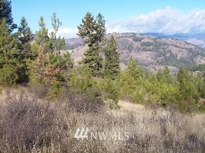 -tbd Tbd Switchback Road Malo, WA 99150 - Photo 5 of 8 Gallery Image 5
