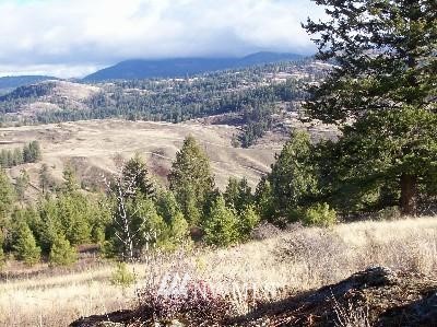-tbd Tbd Switchback Road Malo, WA 99150 - Photo 6 of 8 Gallery Image 6