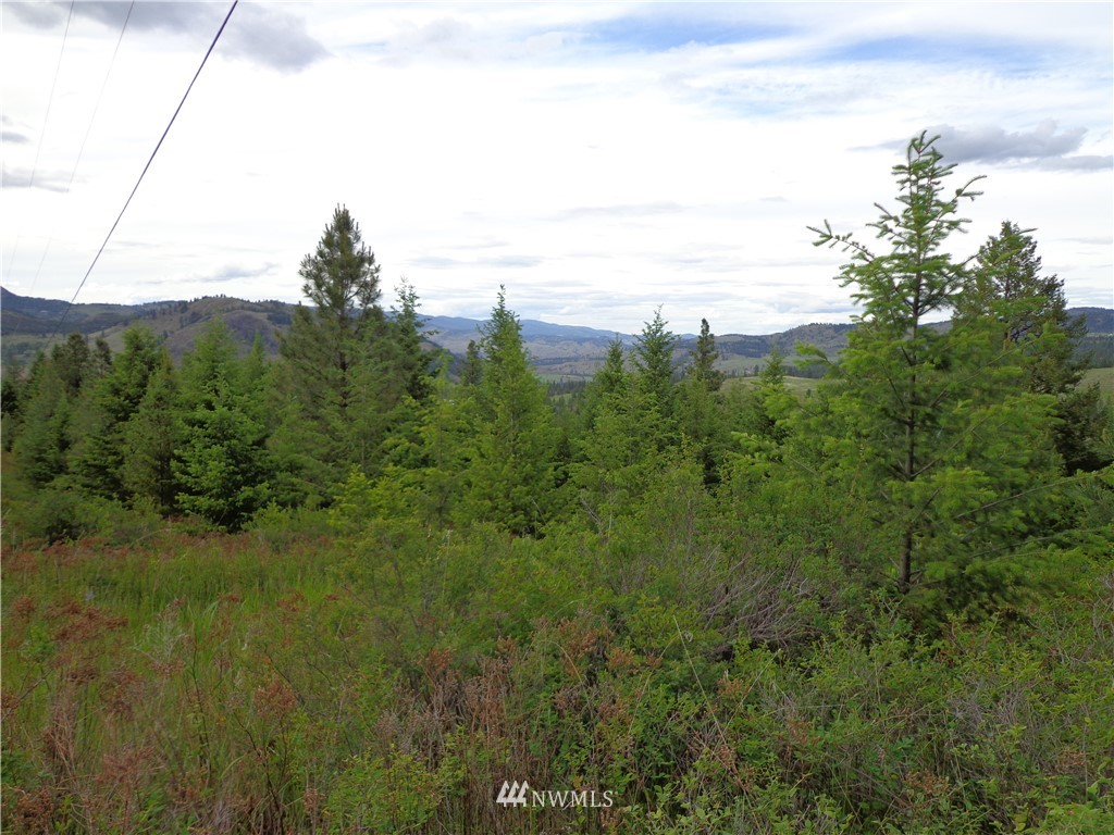 -tbd Tbd Switchback Road Malo, WA 99150 - Photo 7 of 8 Gallery Image 7