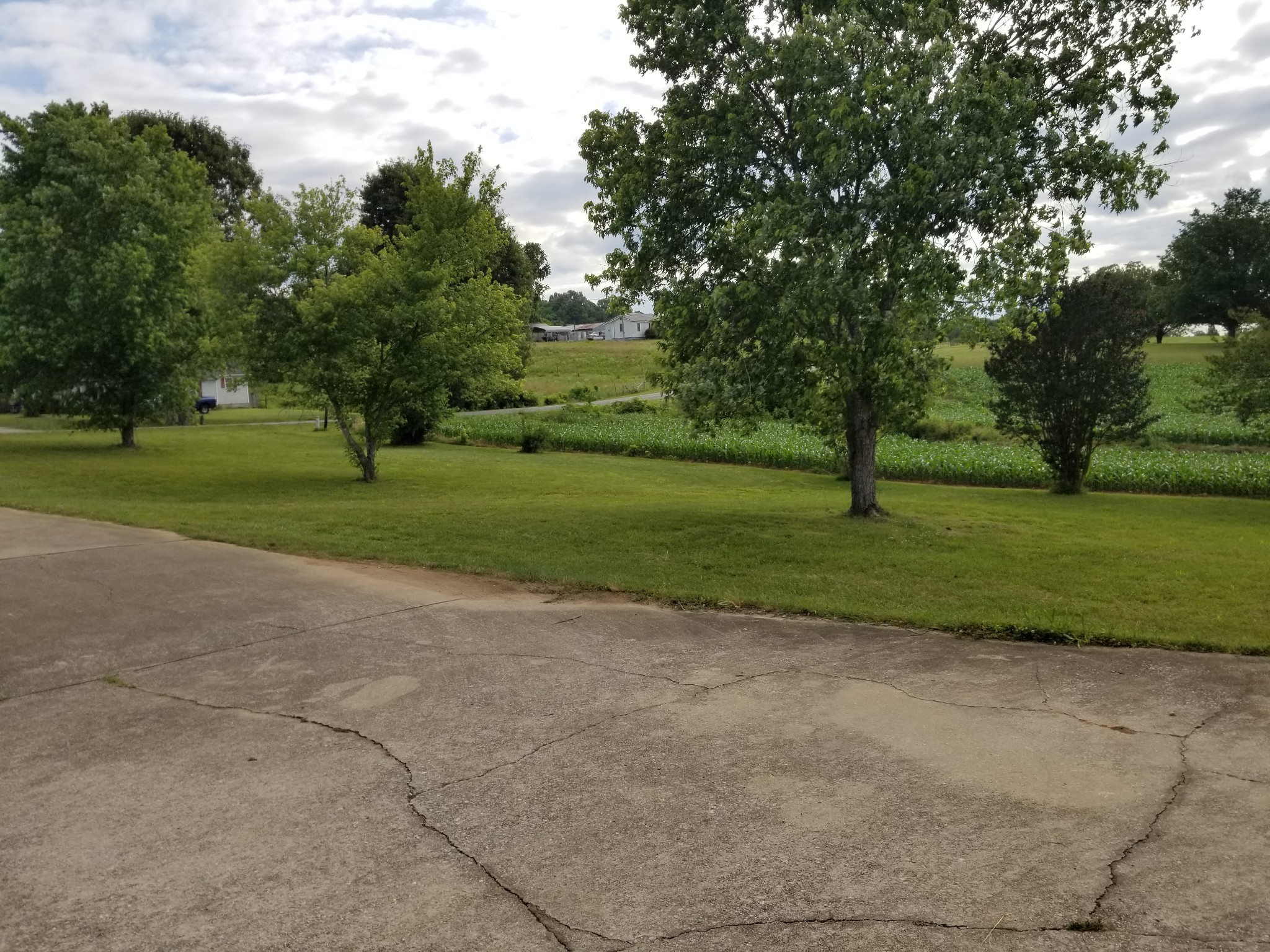1919 Pleasant Hill Road Prospect, TN 38477 - Photo 8 of 9 a view of a park with large trees