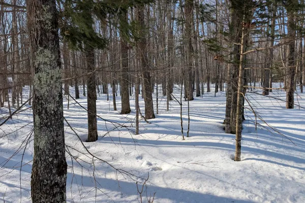 $99,900 | N9664 Ison Lane, Pickerel, WI 54465