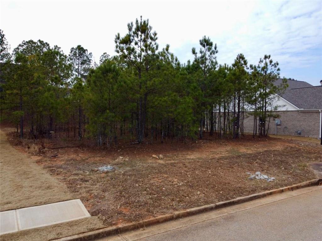 835 Crossroads Court Social Circle, GA 30025 - Photo 4 of 6 a view of a backyard with large trees