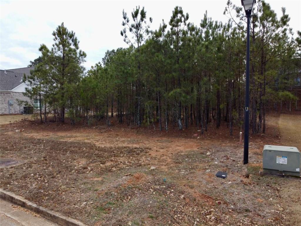 835 Crossroads Court Social Circle, GA 30025 - Photo 5 of 6 a view of outdoor space with trees