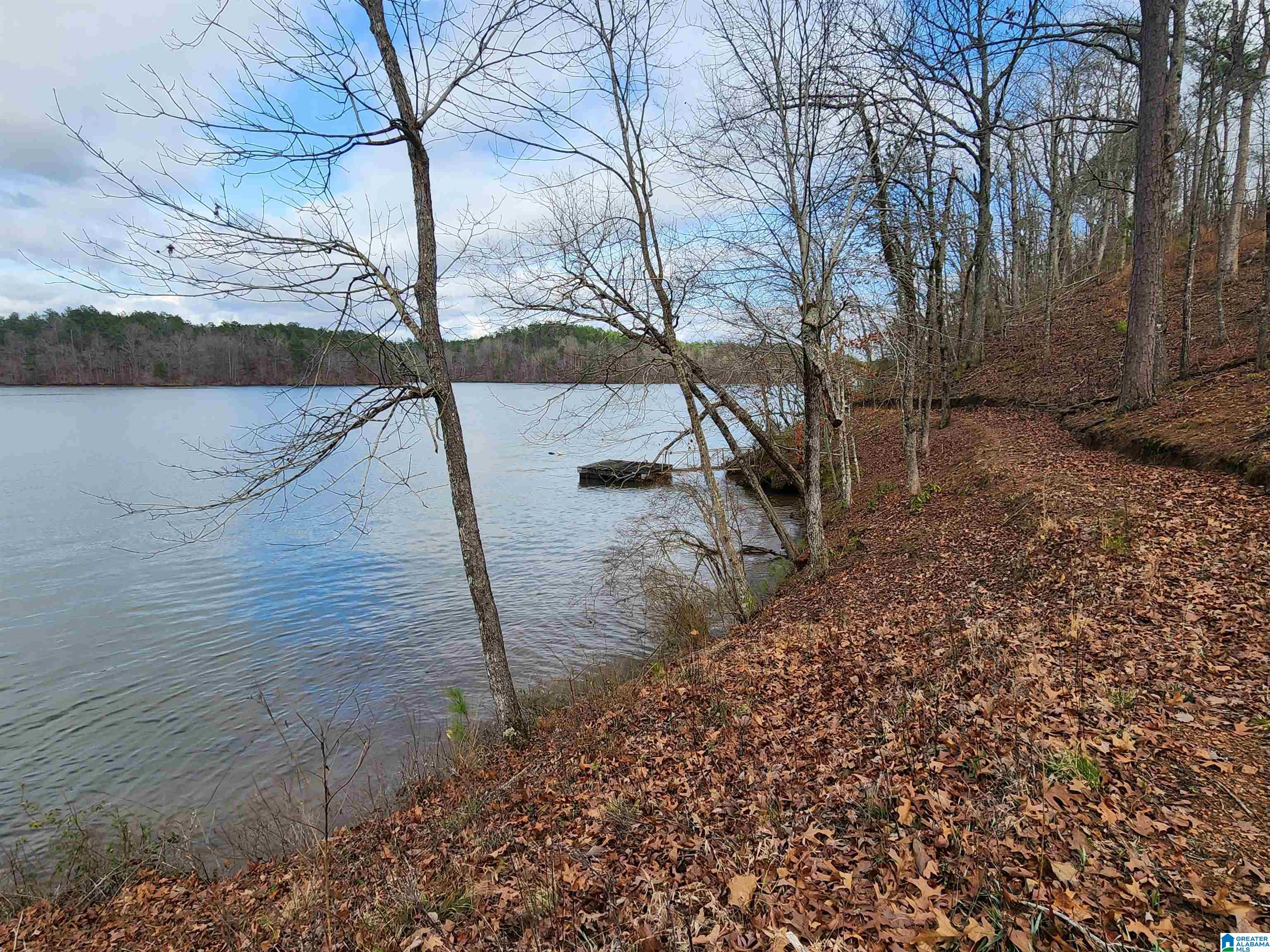 Lot 8 Eagle Mountain Road, Unit 8 Alexander City, AL 35010 - Photo 9 of 27