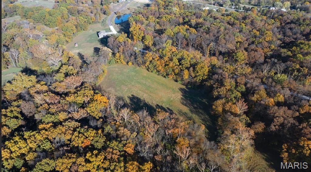 0 Lot 1 Winding Trail Foley, MO 63347 - Photo 3 of 11