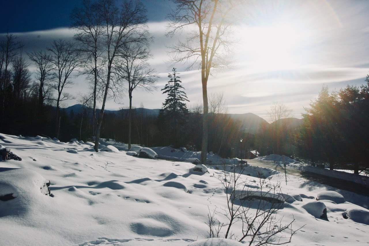 Dartmouth Ridge Road, Unit 6 Twin Mountain, NH 03595 - Photo 4 of 12 Gallery Image 4