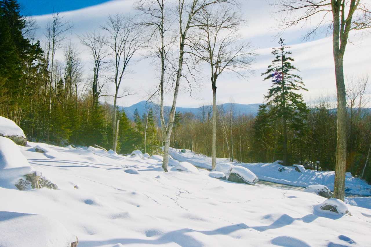 Dartmouth Ridge Road, Unit 6 Twin Mountain, NH 03595 - Photo 5 of 12 Gallery Image 5