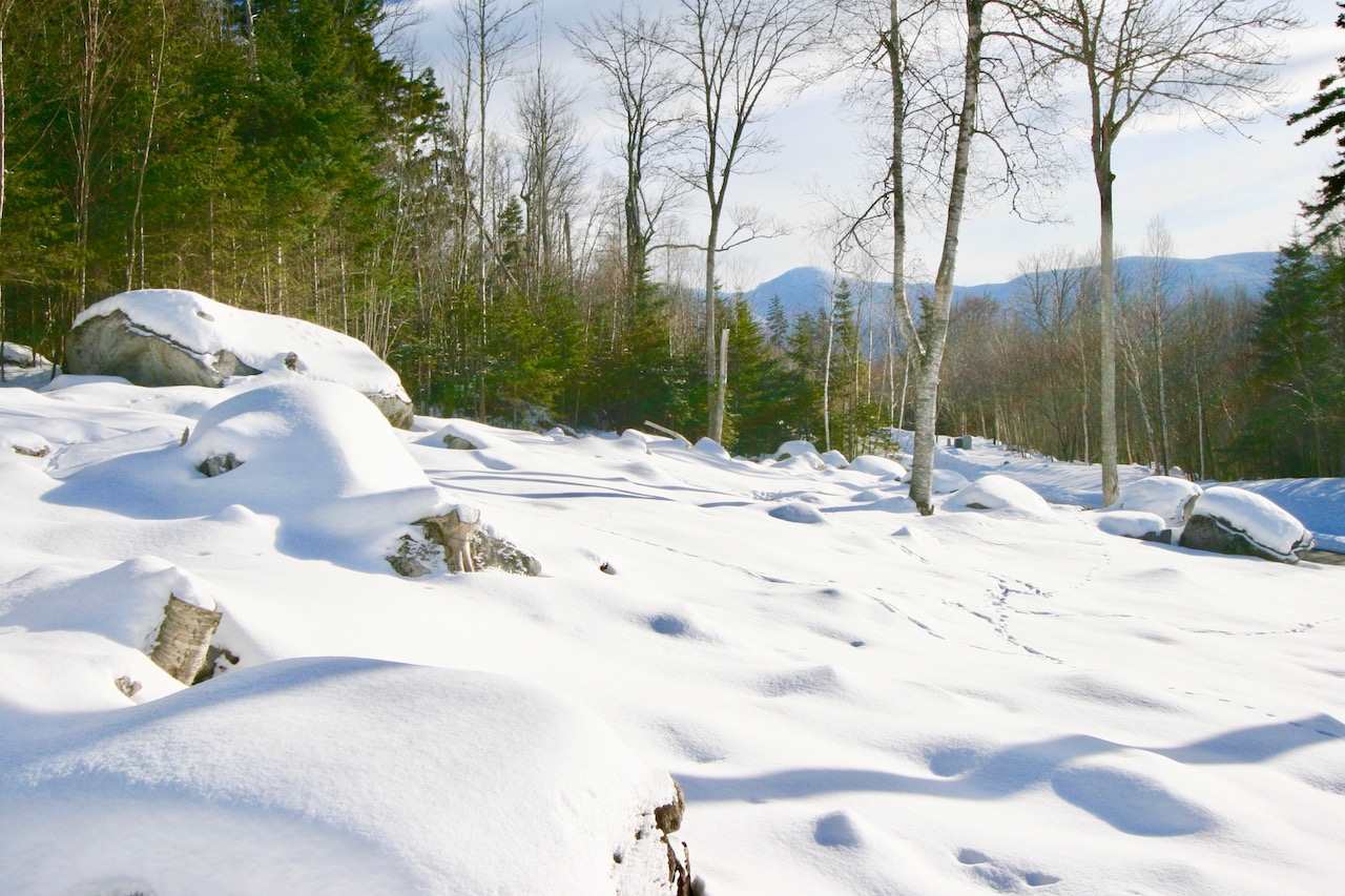 Dartmouth Ridge Road, Unit 6 Twin Mountain, NH 03595 - Photo 8 of 12 Gallery Image 8