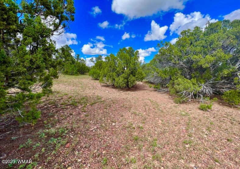 48 Co Road Vernon, AZ 85940 - Photo 2 of 9