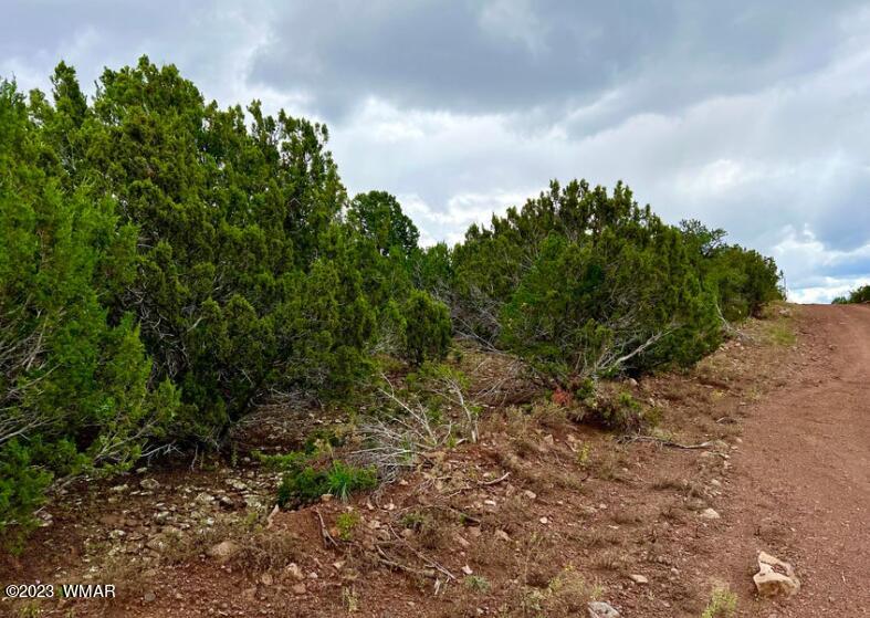 48 Co Road Vernon, AZ 85940 - Photo 4 of 9